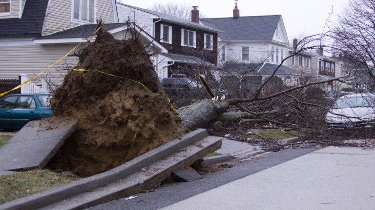 document hurricane damage