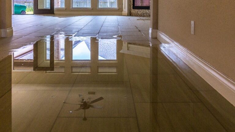 Hurricane Helene Water Damage Claims