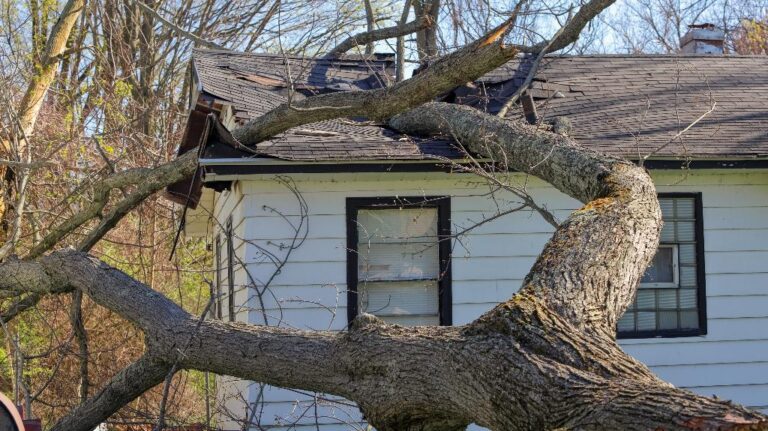Hurricane Helene Wind Damage Claims