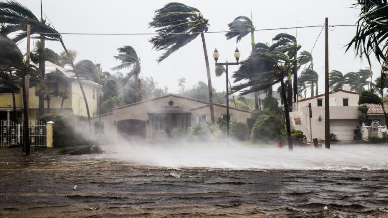 Hurricane Milton’s Impact on Florida