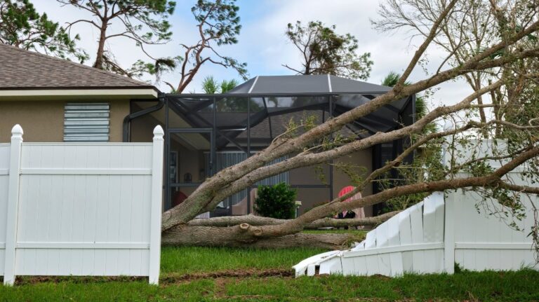 fallen down big tree caused damage of yard fence after hurricane